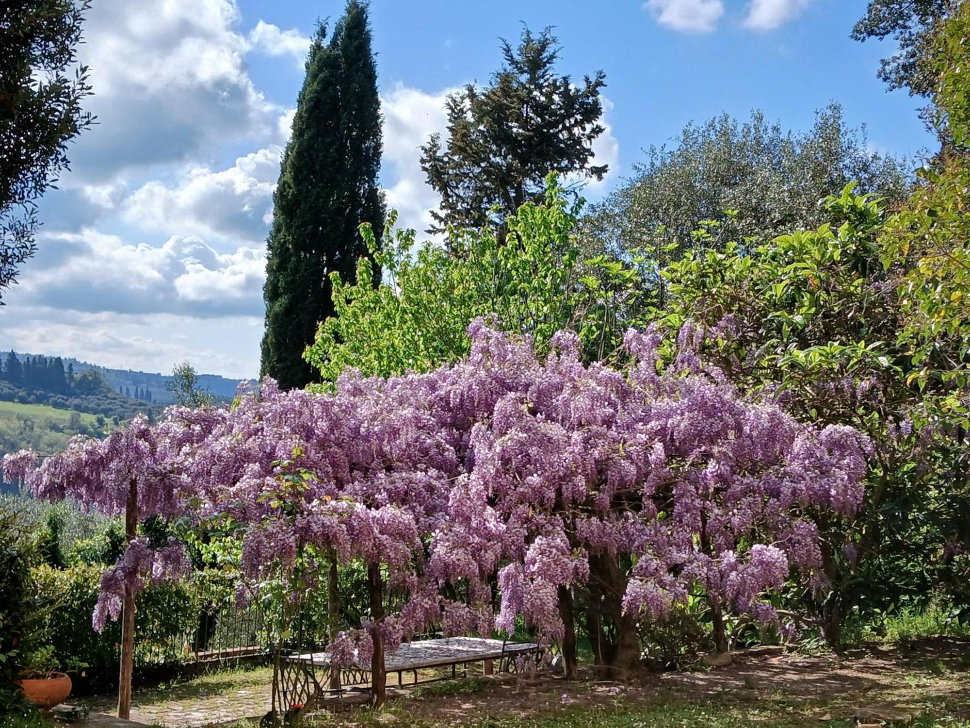 Agriturismo Villa Gorgognano Certaldo Exteriör bild