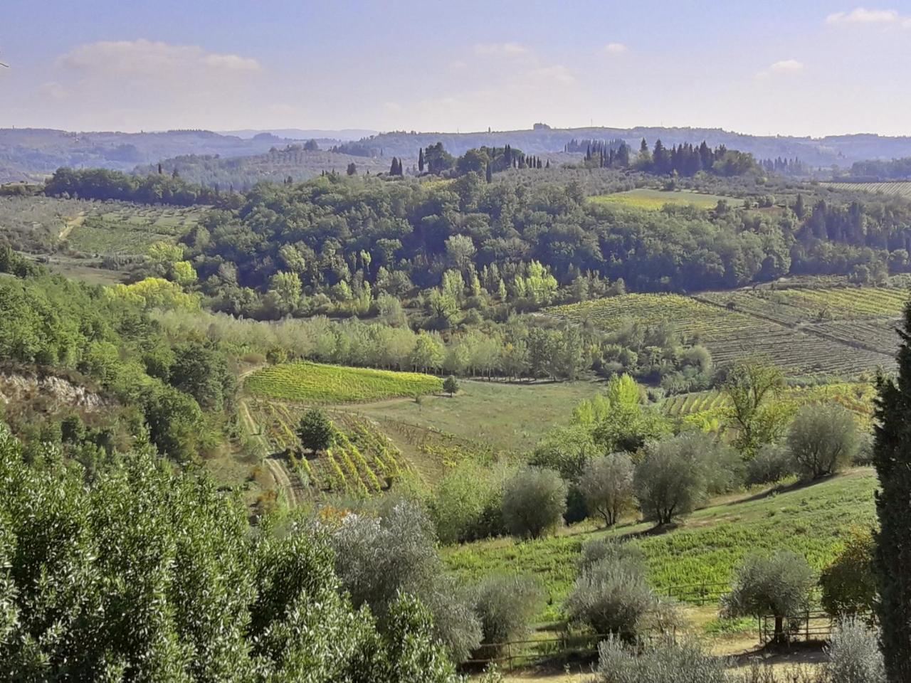 Agriturismo Villa Gorgognano Certaldo Exteriör bild